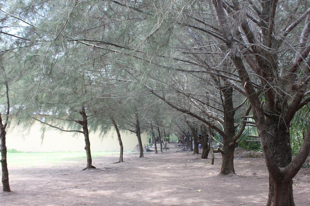 锡巴岛度假村 棉兰 外观 照片